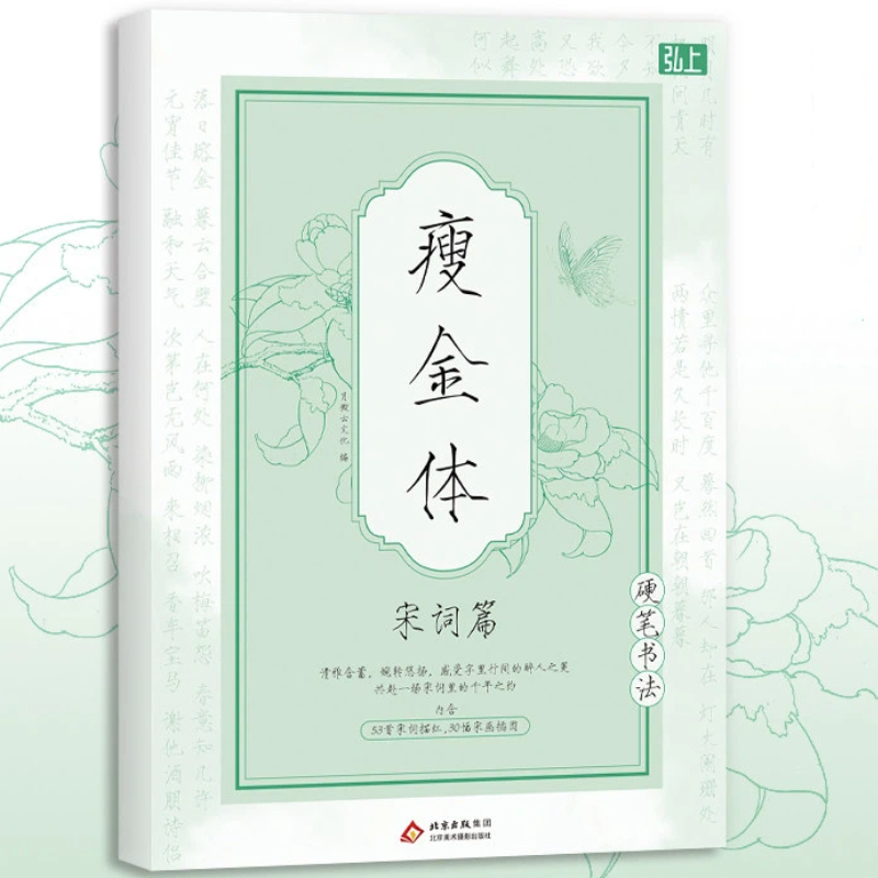 Chinese Writing  book Song Hui - Chinese Calligraphy Practice Book 评论和价格